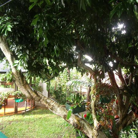 Villa Les Agapanthes Le Tampon Exterior foto